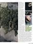 Page: - 95 | High Times