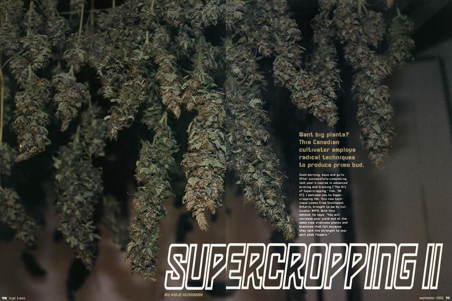 SUPERCROPPING II