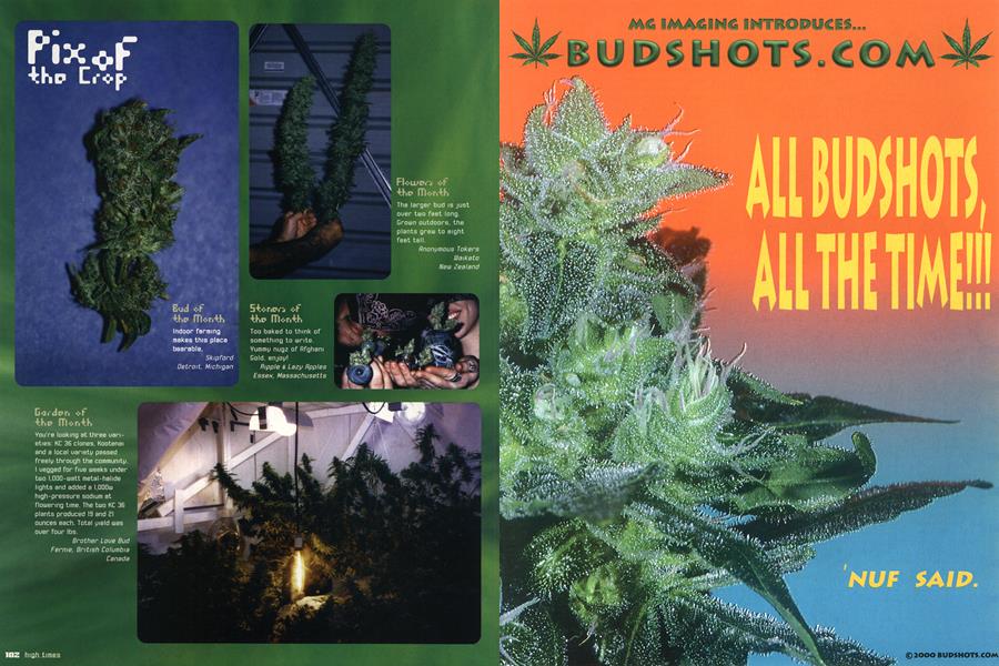 Pix of the Crop
