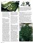 Page: - 118 | High Times