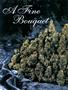 Page: - 68 | High Times