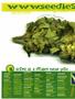 Page: - 74 | High Times