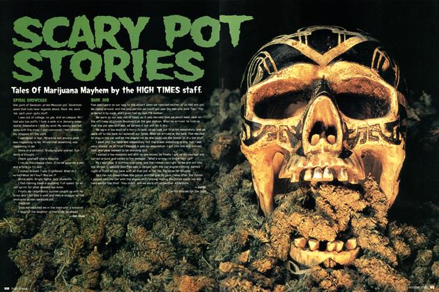 SCARY POT STORIES