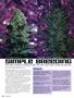 Page: - 112 | High Times