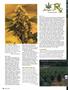 Page: - 118 | High Times