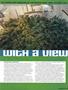 Page: - 61 | High Times