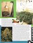 Page: - 64 | High Times