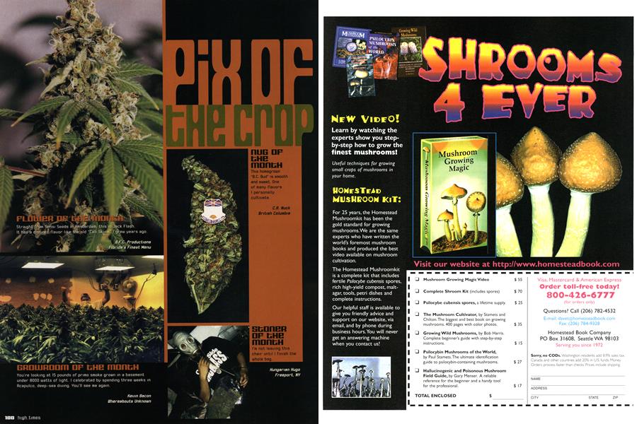 PIX OF THE CROP