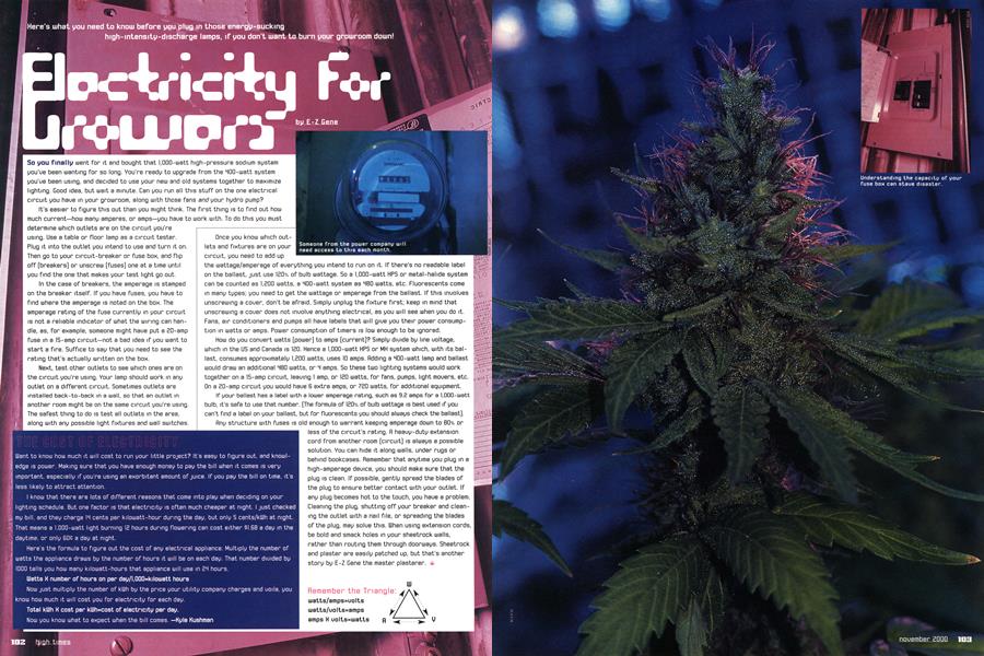 Elactricity for Growns