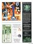 Page: - 113 | High Times