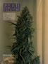 Page: - 96 | High Times