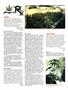 Page: - 119 | High Times