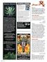 Page: - 124 | High Times