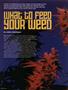Page: - 62 | High Times
