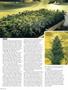 Page: - 64 | High Times