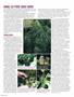 Page: - 66 | High Times