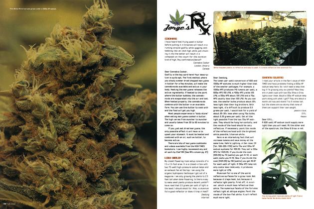 Jorge's Rx