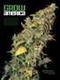 Page: - 100 | High Times