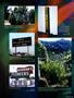 Page: - 101 | High Times
