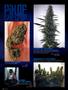 Page: - 102 | High Times