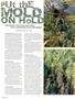 Page: - 104 | High Times