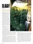Page: - 114 | High Times