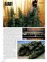 Page: - 116 | High Times