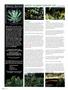 Page: - 126 | High Times