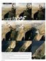 Page: - 14 | High Times