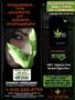 Page: - 29 | High Times