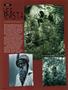 Page: - 42 | High Times