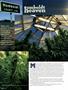 Page: - 66 | High Times
