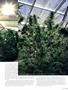 Page: - 67 | High Times
