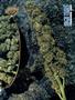 Page: - 69 | High Times