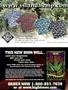 Page: - 75 | High Times