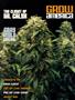 Page: - 99 | High Times