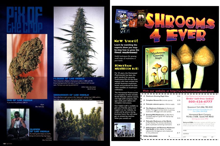 PIX OF THE CROP