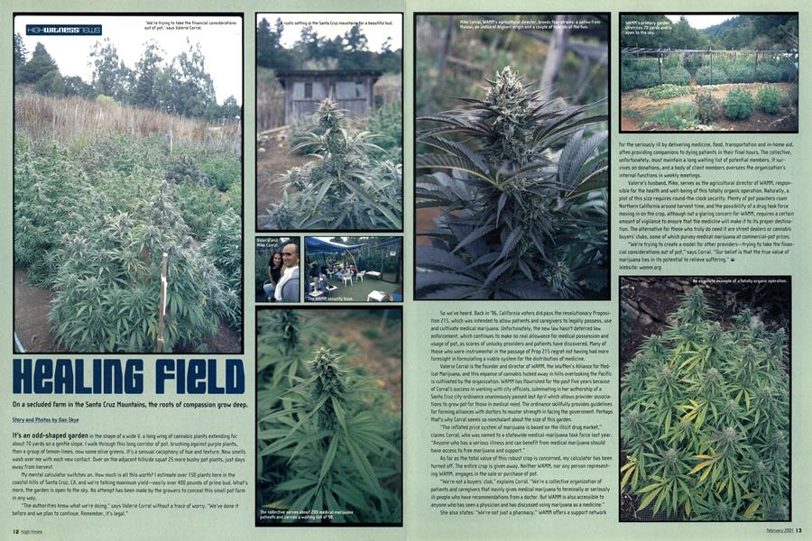 HEALING FIELD