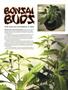 Page: - 114 | High Times