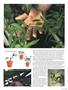 Page: - 115 | High Times