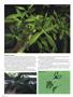Page: - 116 | High Times