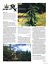 Page: - 119 | High Times