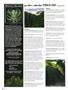 Page: - 126 | High Times