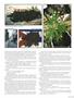 Page: - 13 | High Times