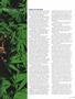 Page: - 53 | High Times