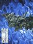 Page: - 68 | High Times