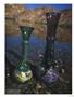 Page: - 75 | High Times