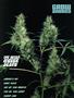 Page: - 103 | High Times