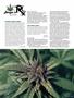 Page: - 119 | High Times