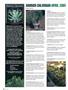 Page: - 126 | High Times